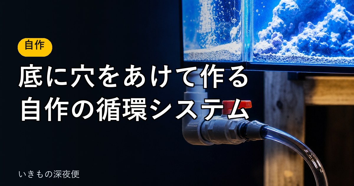 水槽の底に穴をあけて作る、自作の循環システム。30cm水槽4本を90cmのろ過槽でまわす方法