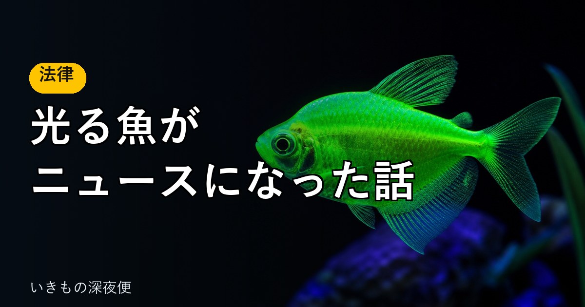 光る遺伝子組換えの魚が、ニュースになった話。いまは飼えるの？