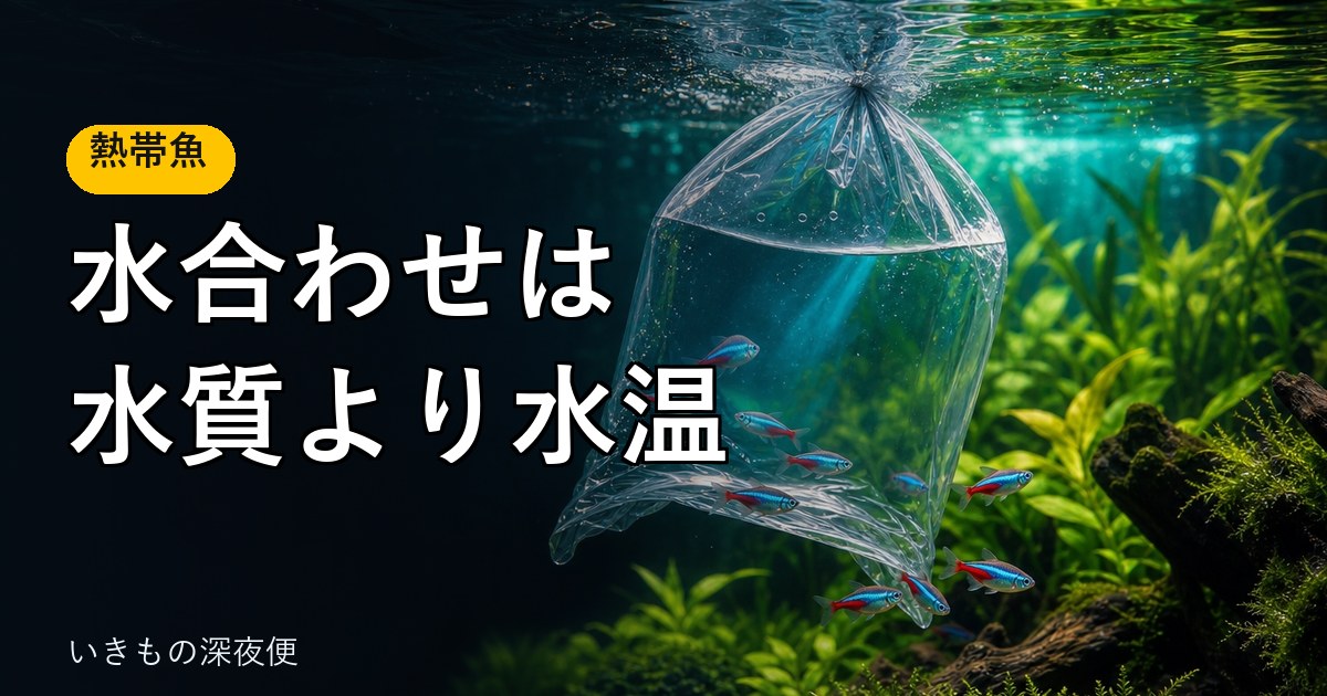 熱帯魚の水合わせは、水質より水温。元ショップ店員が教える、失敗しない始め方