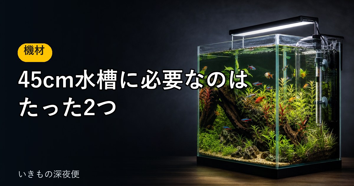 45cm水槽に必要なのは、たった2つ。ショップで勧められても、買わなくていいもの